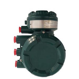 Débitmètre en acier inoxydable YOKOGAWA AXG4A, nouveau débitmètre d'huile pour la mesure de l'eau, du gaz, de l'huile et de l'air, personnalisable OEM - Product Image 2