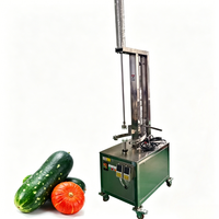 Machine électrique semi-automatique professionnelle pour hôtels, pour l'épluchage des mini-melons vietnamiens, des noix de coco et des citrouilles, et la découpe des ananas