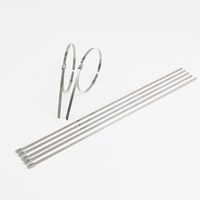 Attaches-câbles en acier inoxydable auto-bloquants TYO haute résistance anti-corrosion SS201 SS304 SS316, largeur 4,6 mm, 100 mm, pour applications électriques