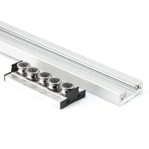 Dual-axis Aluminium Alloy Internal Shaft Guide Type And 100-4000mm Length SGR Linear Rail