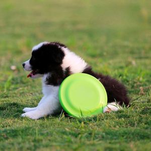 Disque de frisbee sportif personnalisé pour chien - Product Image 4
