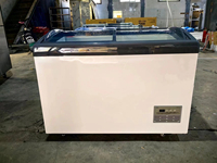 Vitrine Réfrigérée Commerciale NE-130DT-8 pour Crèmes Glacées 260L 130L 360L 380L 450L, Congélateur Coffre à Couvercle Vitré, Congélateur Coffre Profond