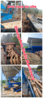 JinXiu Automatische Doppelwalzen-Holzentschichtungsmaschine Elektrische Holzschälmaschine mit Einstellbarer Geschwindigkeit Einfache Bedienung für die Forstwirtschaft