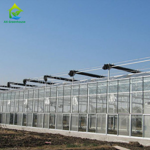 Serres agricoles en verre, système hydroponique vertical, serre Venlo, Invernadero <span class=keywords><strong>De</strong></span> <span class=keywords><strong>Tomate</strong></span> - Product Image 2