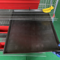 Cages d'élevage de cailles automatiques prix d'usine Offres Spéciales nouvel état