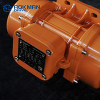 MVE-Serie Elektrischer Vibrationsmotor 220V/380V 0,02-22kW für Asphaltmischanlagen-Fördersysteme