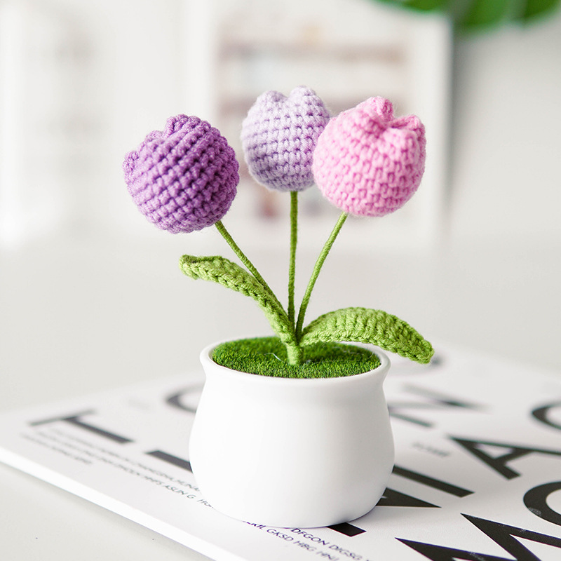 Tulipano viola 3 teste