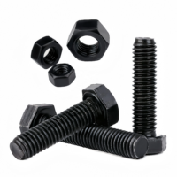 Boulons en acier inoxydable 304/316 de haute précision, anti-vibration, multi-grades 4.8/8.8/10.9/12.9 DIN933, finition oxyde noir