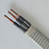 Cable de Alimentación Sumergible para Bomba de Pozo Petrolero QYEQ de 3KV 4KV 5KV 6KV, 3 Núcleos, Núcleo de Cobre, Aislamiento EPDM, Blindado, ESP