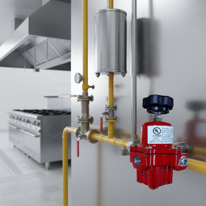 LPG gaz regülatör Emersonfisher 67CH-743 yüksek basınç regülatörü yemek pişirmek için - Product Image 5