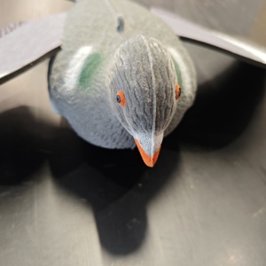 Leurres de <span class=keywords><strong>Pigeon</strong></span> émulationnels de vente chaude pour le tir de chasse leurre de <span class=keywords><strong>Pigeon</strong></span> volant floqué avec des ailes pour la décoration de jardin - Product Image 4