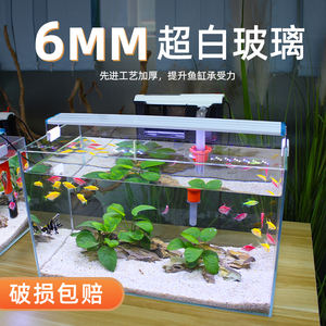 حوض أسماك زجاجي فاخر داخلي فائق الوضوح وصديق للبيئة عالي الجودة من شيلونغ - Product Image 5