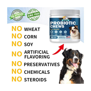 סיטונאי בריאות לחיות מחמד תוספי תזונה פרו-ביוטיים רכים חיסוניים עבור מפחית שריטות פפה כריתה מקדמת בריאות המעי - Product Image 3