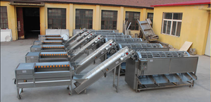 Clasificador de Calidad CE para Frutas y Mariscos: Calabazas, Granadas, Aguacates, Albaricoques, Ostras, Mejillones y Conchas Marinas - Product Image 6