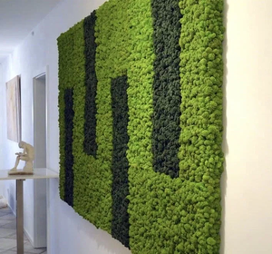 थोक सदाबहार काई अनन्त ग्रीन के लिए स्थिर काई असली प्राकृतिक संरक्षित काई पैनल दीवार सजावट - Product Image 5