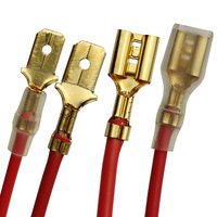 Connecteur rapide Faston 2.8/4.8/6.3mm 110/187/250, bornes mâle/femelle, interrupteur à bouton LED, faisceau de câbles d'alimentation