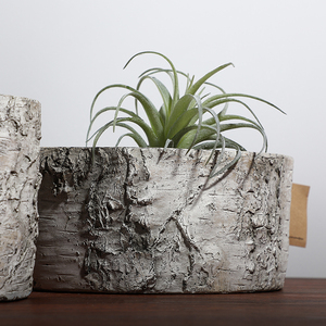 New Arrival <strong>Rustic</strong> Style Matte Home <strong>Garden</strong> Decorative Concrete Planter Flower Pot for Home <strong>Decor</strong> - Product Image 4