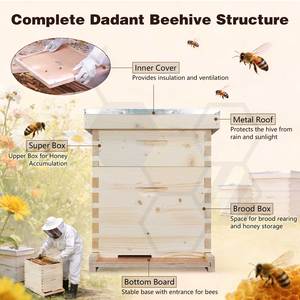 Promotion : Ruche Dadant en bois à prix réduit pour l'apiculture - Product Image 4