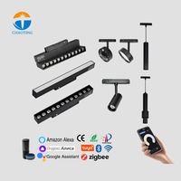 Bon prix Projecteurs encastrés sur rail Smart Rail en aluminium 12w 24w 48V Projecteur Cob Système d'éclairage sur rail LED linéaire magnétique