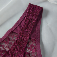 SXLH Kedatangan Baru Celana Dalam Wanita Seksi Model Thong Tipis Berenda Pinggang Sedang