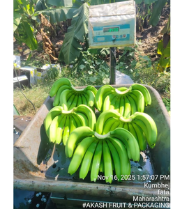 Adhesivo de Látex Blanco a Base de Polivinil Acetato (PVA) Dr. Fixit Super, para Trabajos de Madera y Construcción - Product Image 3