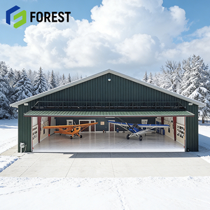Hangar Profesional Moderno para Aviones, Estructura de Acero, Fácil Montaje para Aviones Ligeros, Precio Competitivo - Product Image 1
