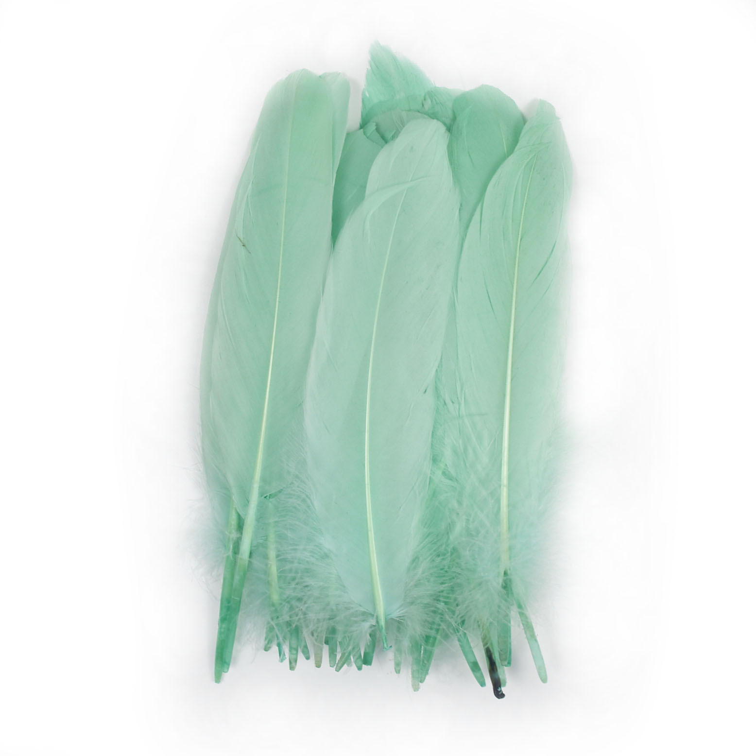 Vert clair