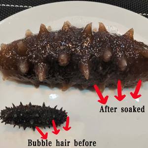 Прямая продажа от китайских фабрик-сушеные морские огурцы премиум-класса в подарочных коробках на заказ - Product Image 3