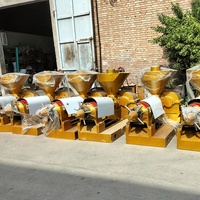 Machine à huile de décorticage de graines de tournesol Machine d'extraction d'huile de tournesol d'Afrique du Sud Machine de fabrication d'huile de noix de coco
