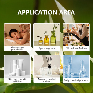 น้ำมันหอมระเหยกลิ่นแมกโนเลียสำหรับเครื่องสำอางน้ำมันหอมระเหยกลิ่นแมกโนเลียสารสกัดจากพืชจีน10ปี - Product Image 6