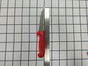 TLJL029 <span class=keywords><strong>Coltello</strong></span> da Disosso Curvo in Acciaio Inox con Manico Rosso in PP da 5 Pollici, Ultra Affilato <span class=keywords><strong>per</strong></span> Carne, Pesce e <span class=keywords><strong>Verdure</strong></span> - Product Image 5