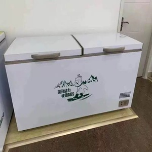 Congelador Horizontal Solar de Alta Calidad y <span class=keywords><strong>Bajo</strong></span> Consumo Energético - Product Image 6