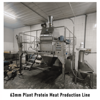 Nieuwe Twin Screw Extruder Machine voor de productie van getextureerde eiwitproducten, zoals erwtenproteïne en tarwe-soja HMMA productielijn
