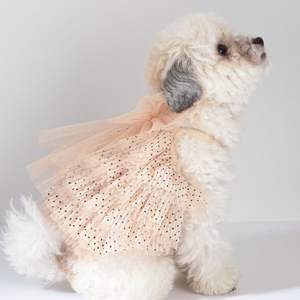 Vestido para Perro, Ropa de Fiesta para Mascotas, Diseño Personalizado, Vestido de Tul de Algodón, Lazo de Encaje Desmontable, Ropa Cómoda y Transpirable - Product Image 1