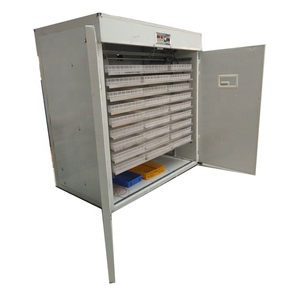 Máy Ấp Trứng Gà Chạy Bằng Năng Lượng Mặt Trời Với Tấm Năng Lượng Mặt Trời Máy Ấp Trứng Ở Ethiopia - Product Image 2