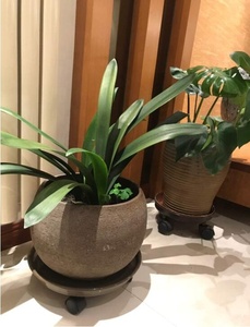 Chariot à plantes, <span class=keywords><strong>support</strong></span> de plantes rond, déplaceur de pots de fleurs, <span class=keywords><strong>support</strong></span> de palette pour pots de plantes, chariot à <span class=keywords><strong>roulettes</strong></span> avec roues universelles - Product Image 5