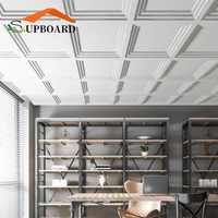 Magnifique panneau de plafond suspendu 3D transparent et imperméable pour balcon