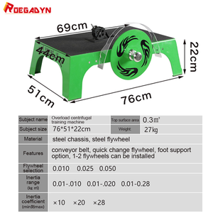 آلة تدريب دولاب الموازنة متعددة الوظائف للصالة الرياضية المنزلية ، آلة تدريب على دولاب الموازنة متعددة الوظائف - Product Image 4