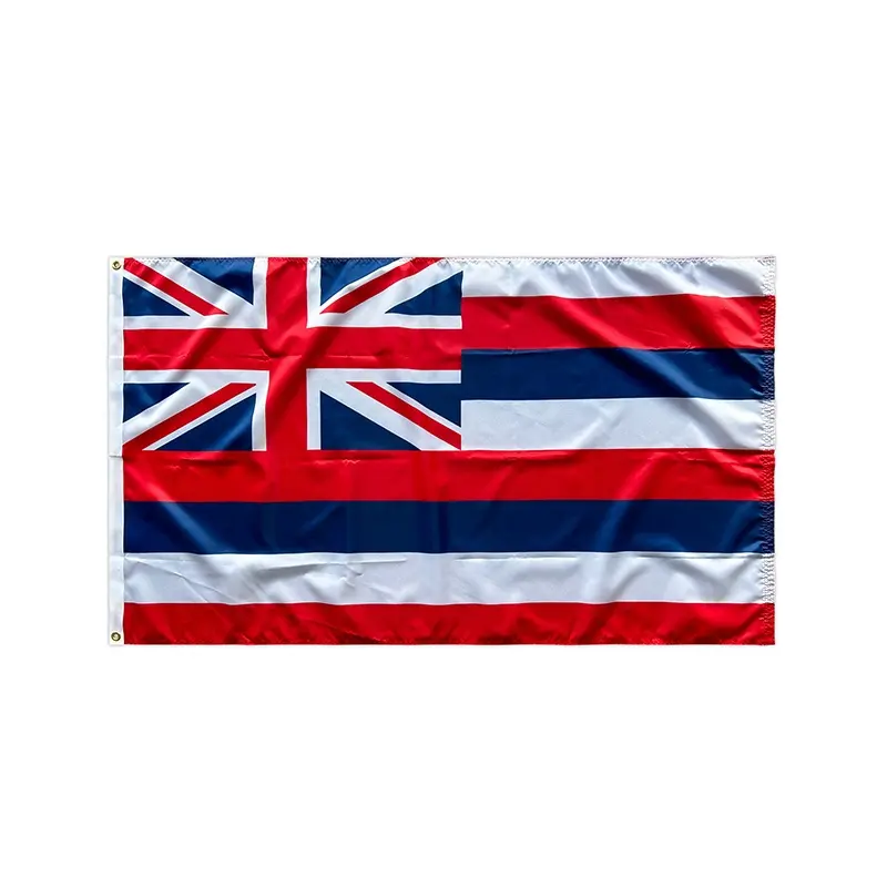 販促品3 * 5Ft 100% ポリエステルすべての国旗プロフェッショナル印刷カスタムハワイ国旗