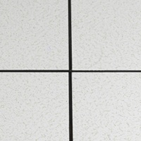 Suelo Elevado Antiestático de Seguridad para Edificios de Oficinas, 600*600, Producto para Salas de Redes Informáticas
