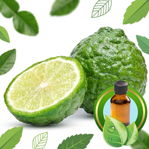 Huile essentielle de bergamote 100% pure et naturelle, liquide, antibactérienne et anti-inflammatoire - Product Image 1