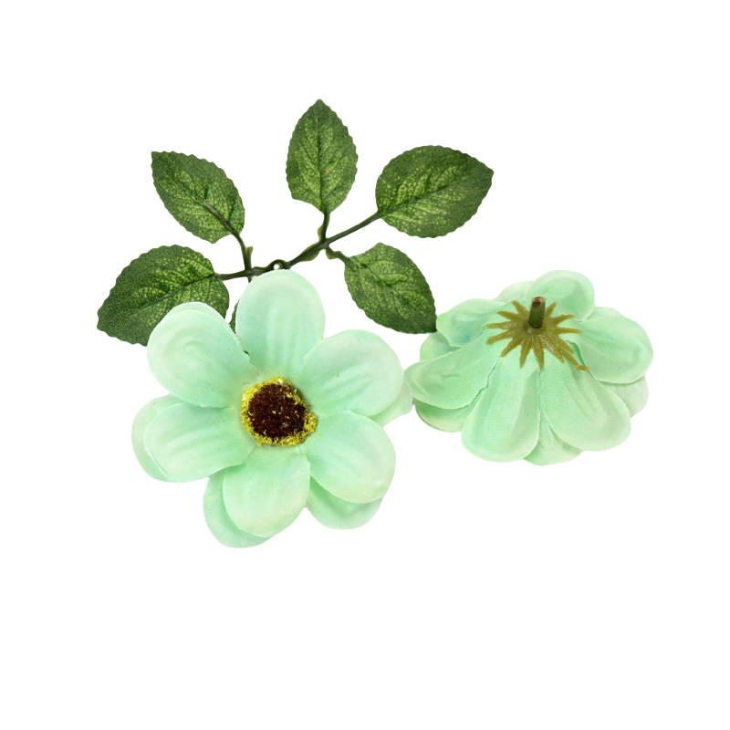 5 Vert