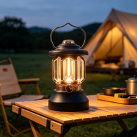 Lampe de camping LED vintage rechargeable, lanterne de tente rétro, lampe d'ambiance suspendue pour l'extérieur avec charge Type C
