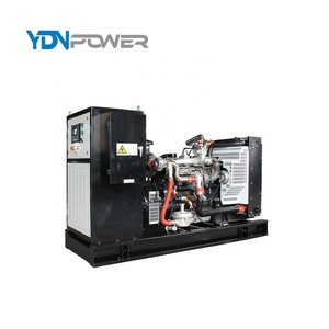 Chất lượng cao 100kva cng Máy phát điện giá - Product Image 2