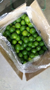 Lima sin semillas - Product Image 6