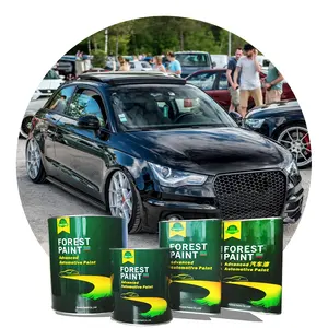 FORÊT Anti UV 2K Clair Manteau Noir Automobile Peinture Couleurs Fournir de Finition De Réparation Laque Peinture pour voitures