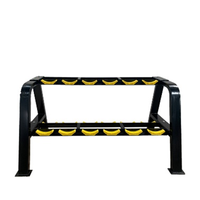 Équipement de musculation HV, support de rangement universel à 2 niveaux, métal durable, grande capacité, support pour haltères, option de logo personnalisé pour