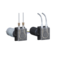 Pompa Peristaltik DC Tanpa Sikat/Brushless Bahan Stainless Steel untuk Pengolahan Air Limbah Tekanan Rendah Laju Alir Kecil Ringkas
