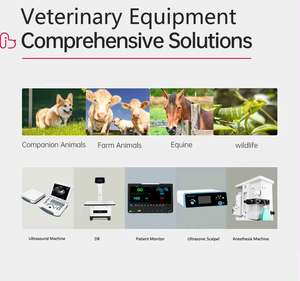 Dawei Veterinary Sow Cabra Embarazo Escáner Cerdo Oveja Cabra Embarazo Ultrasonido Probador Animal Equipo de prueba de diagnóstico - Product Image 2