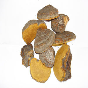 Polvere di Polisaccaridi di Alta Qualità da Fungo <span class=keywords><strong>Sang-hwang</strong></span> (Phellinus Linteus) e Fungo Igniarius (Phellinus Igniarius) - Product Image 2